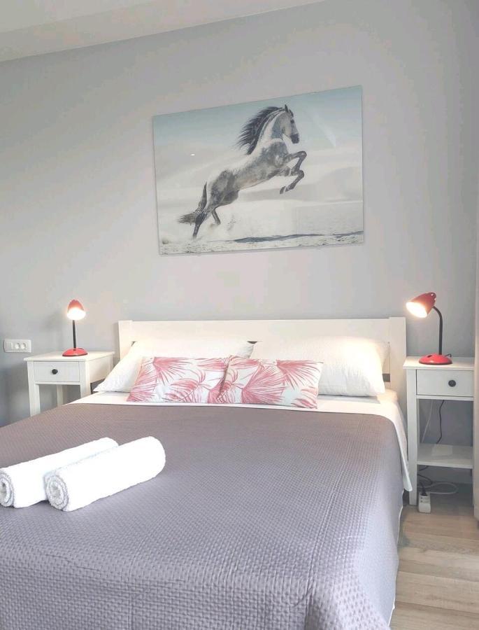 Gorgeous Dubrovnik Sea View Apartment With Free Parking Exterior photo